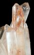 Quartz Crystal Cluster (+ Crystals) - Madagascar #58824-6